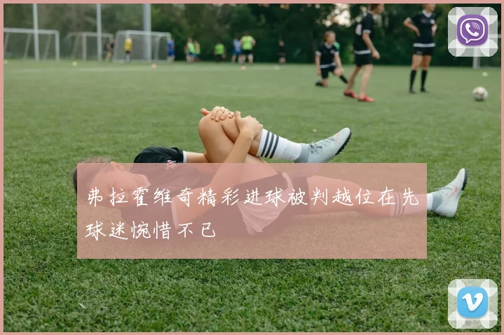 弗拉霍维奇精彩进球被判越位在先球迷惋惜不已