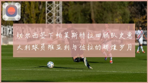 切尔西签下帕莱斯特拉回顾队史意大利球员维亚利与佐拉的辉煌岁月