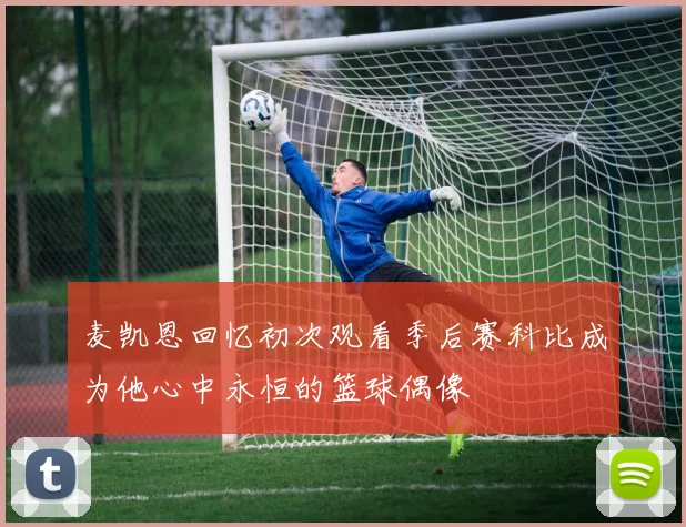 麦凯恩回忆初次观看季后赛科比成为他心中永恒的篮球偶像